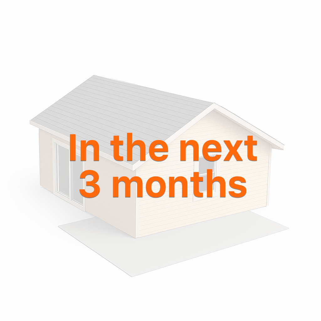 In the next 3 months